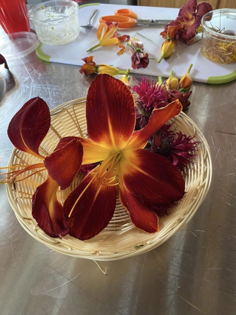 Ateliers horticoles